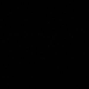 Meet your Posher, Joy